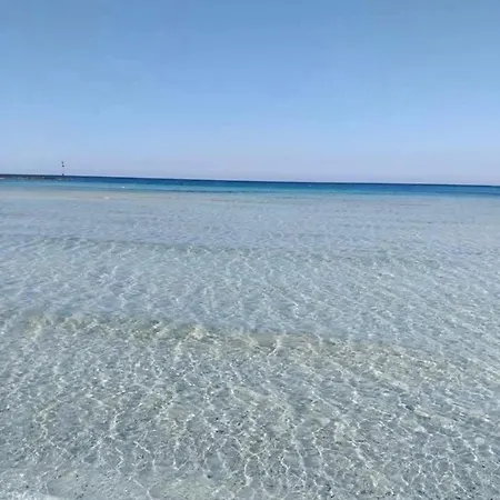 Diadema Luxury ナルド