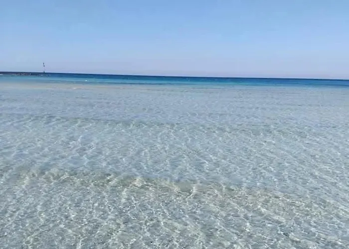 Diadema Luxury ナルド